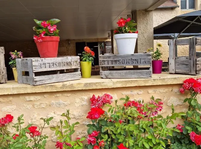 Le 4 3* Montignac-Lascaux